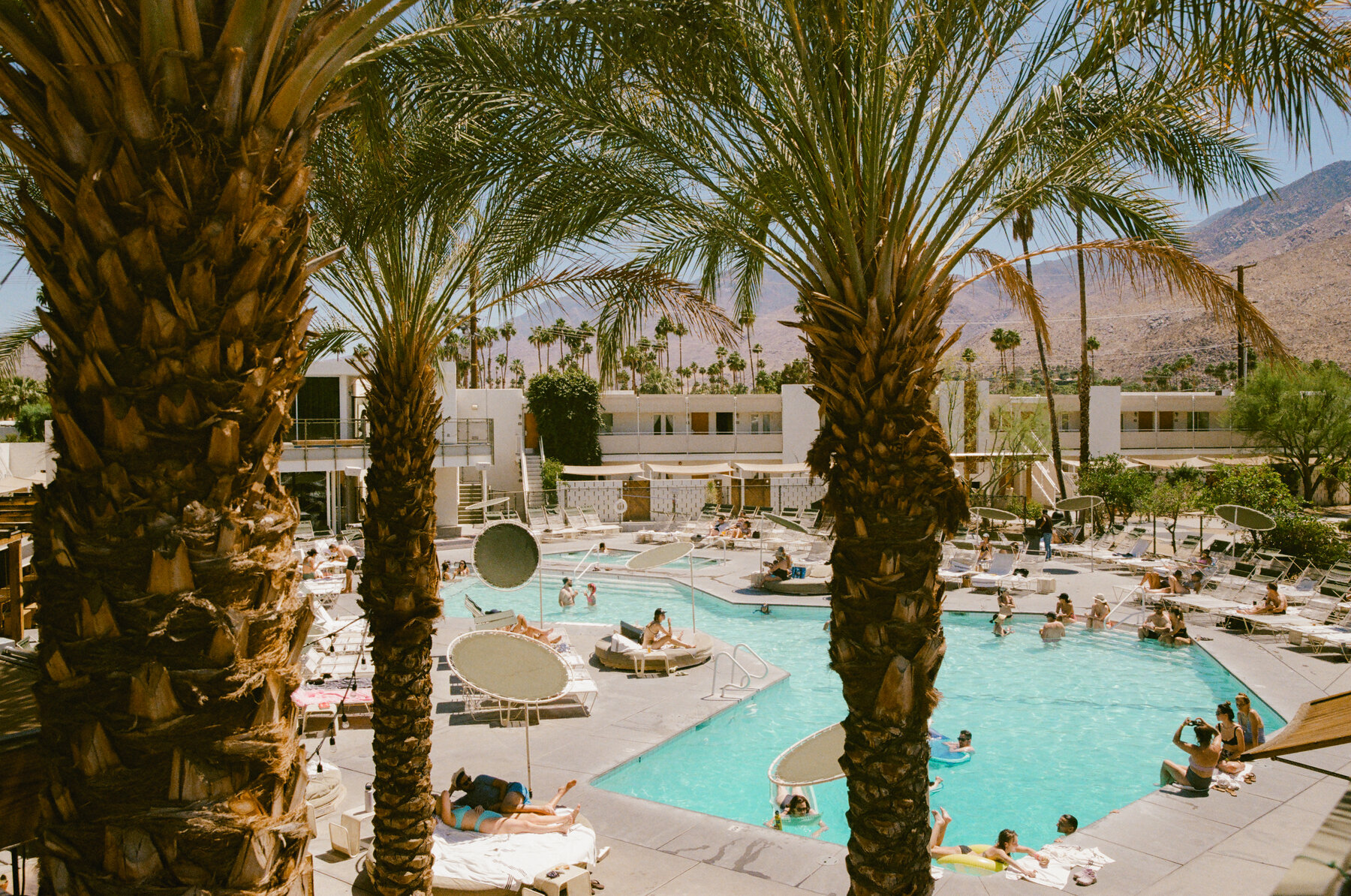 Photos | Ace Hotel & Swim Club Palm Springs