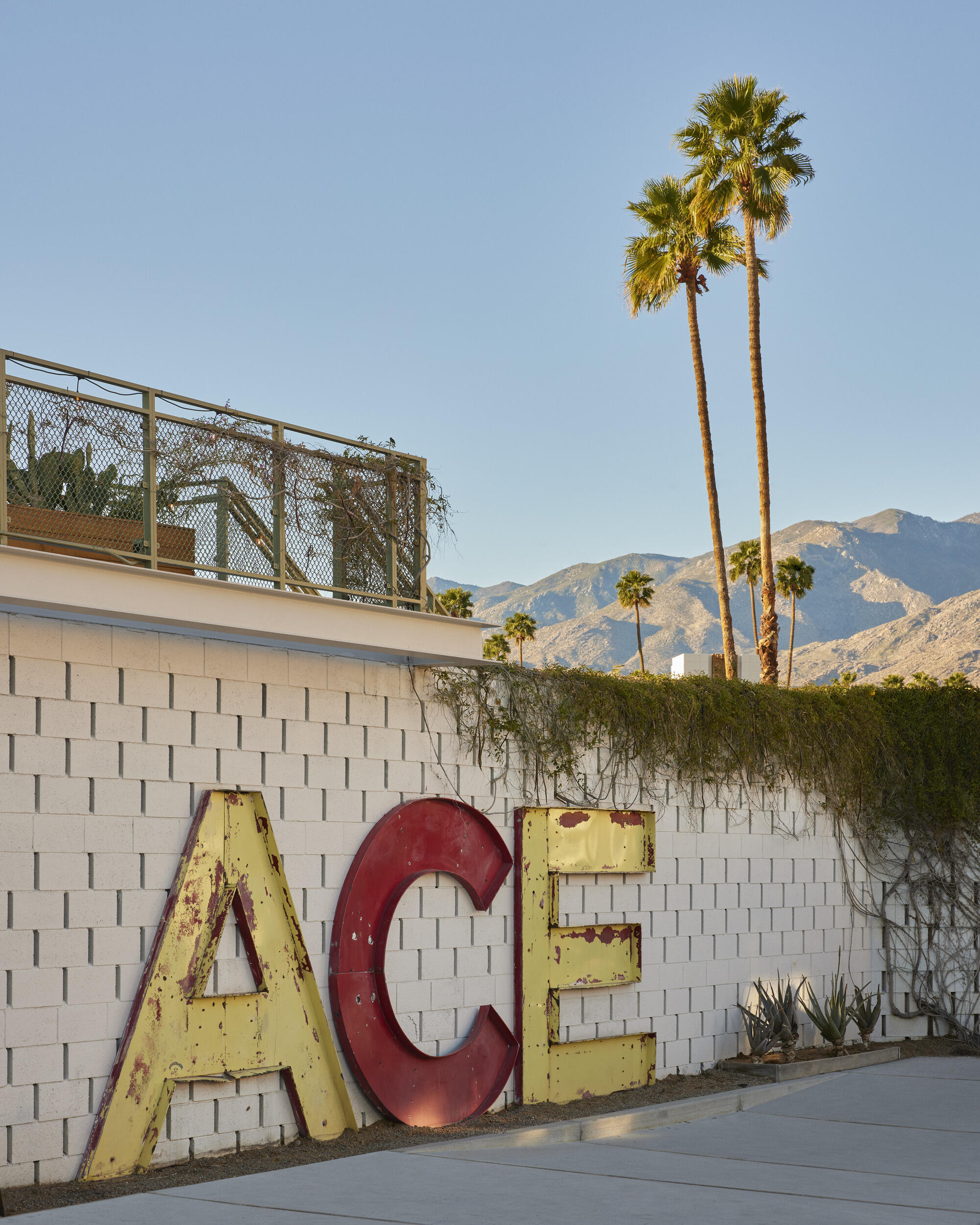 Photos | Ace Hotel & Swim Club Palm Springs
